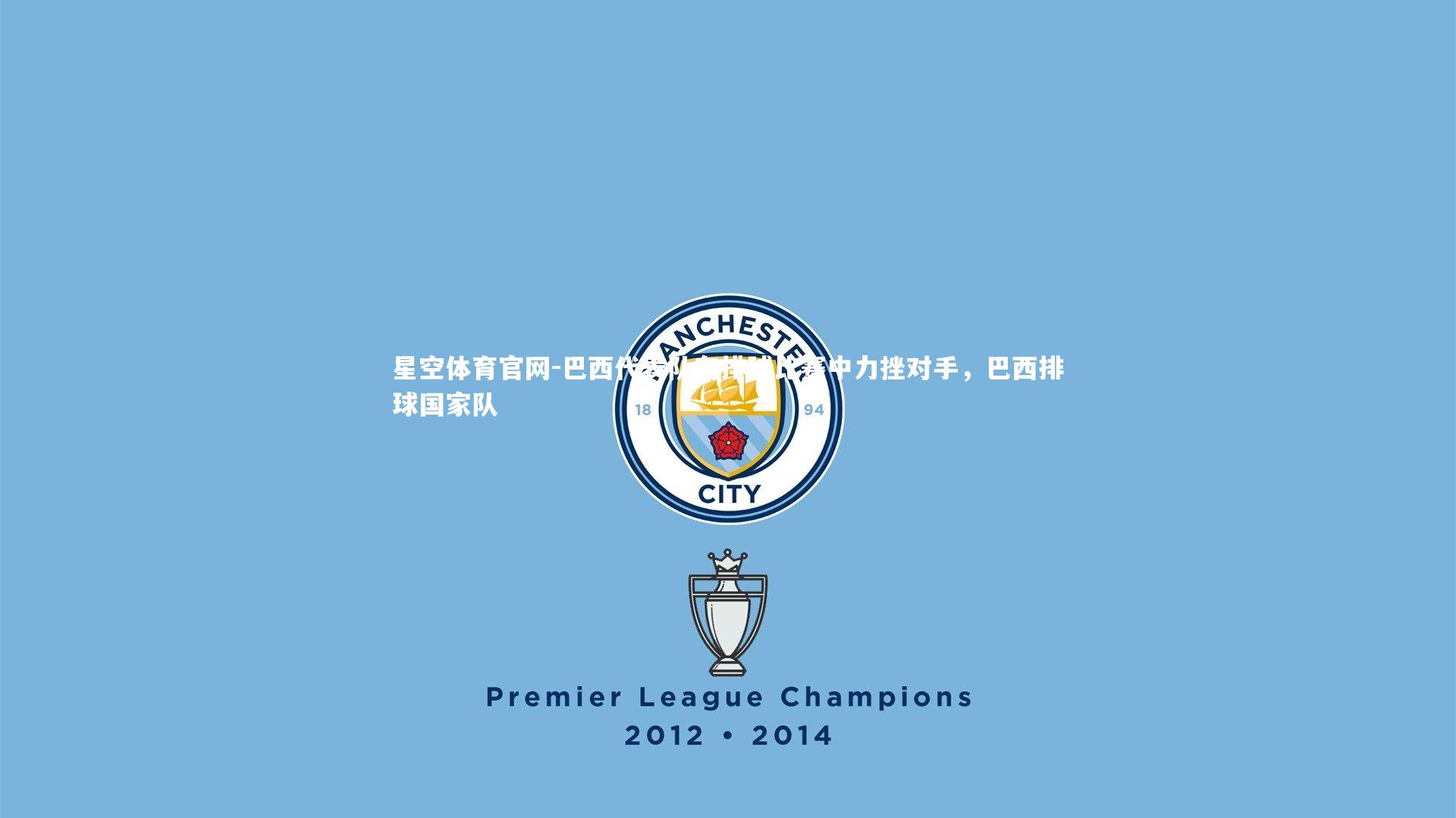 巴西代表队在排球比赛中力挫对手，巴西排球国家队