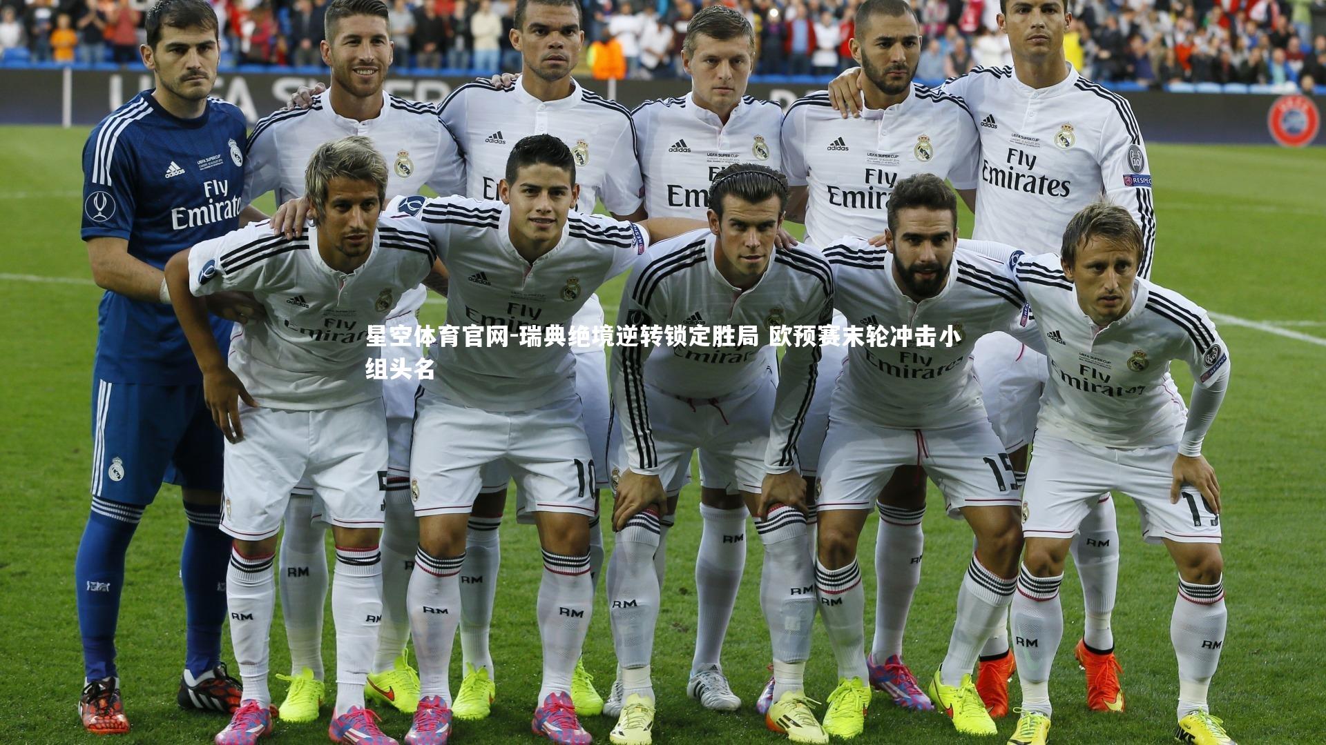 瑞典绝境逆转锁定胜局 欧预赛末轮冲击小组头名